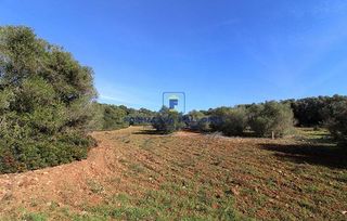 Solar en venta en Campos