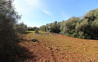 Solar en venta en Campos