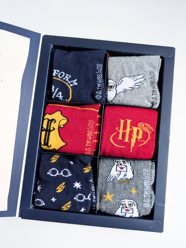 Pack 6 calcetines Harry Potter