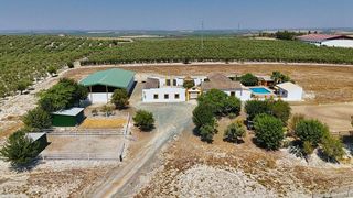 Cortijo en venta en Morón de la Frontera