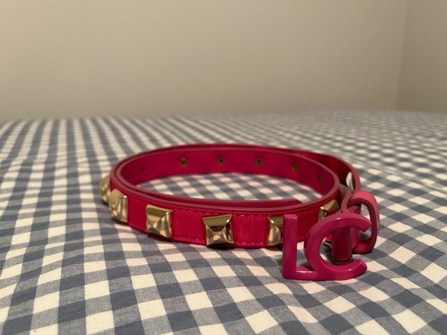 Cinturón Lola Casademunt Rosa