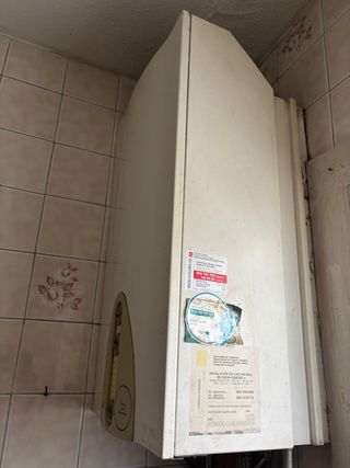 Caldera de gas cointra