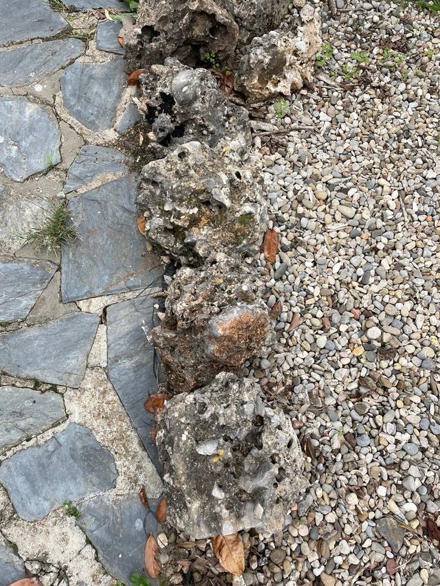 Piedras grandes para jardín