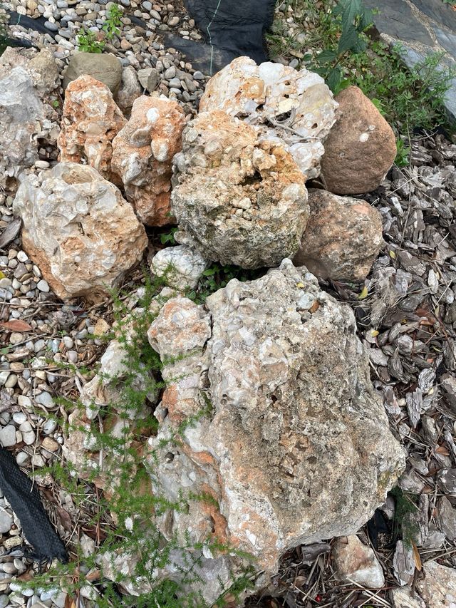 Piedras grandes para jardín