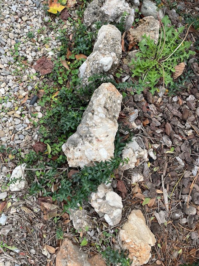 Piedras grandes para jardín