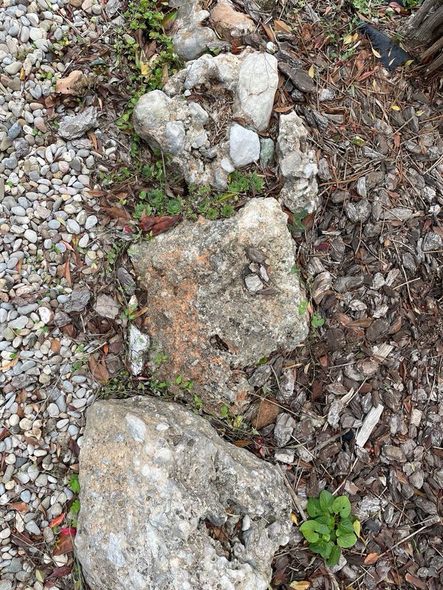 Piedras grandes para jardín