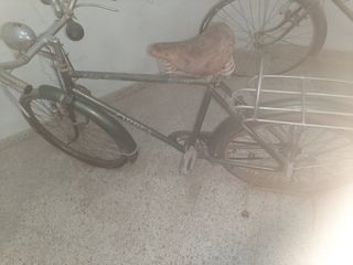 Bicicleta Orbea Clásica Verde