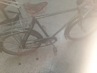 Bicicleta Orbea Clásica Verde