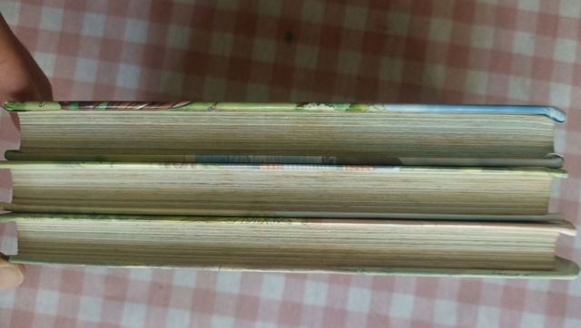 Libros Geronimo Stilton