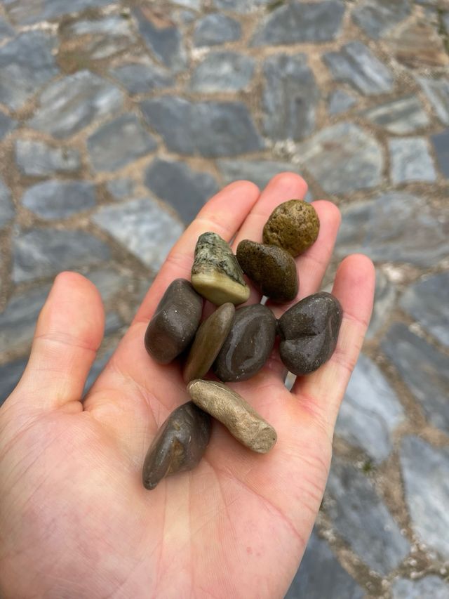 Piedras decorativas para jardín 