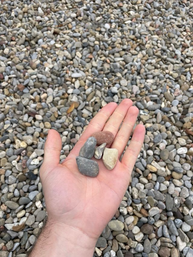 Piedras decorativas para jardín 