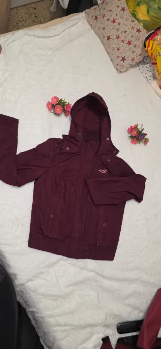 Chaqueta Hollister con capucha