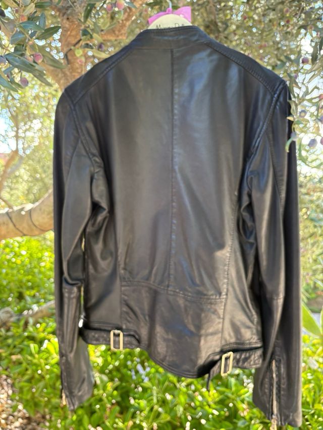 Chaqueta Massimo Dutti