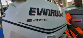 Barco semirrígido Neuvisa 460 + remolque