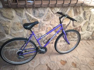 Bicicleta Big Bike Mariner Morada