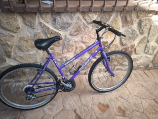 Bicicleta Big Bike Mariner Morada