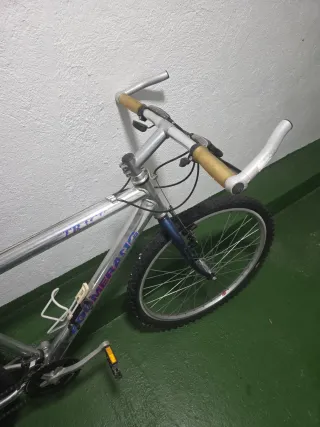 Bicicleta Boomerang Track Plata