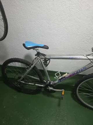 Bicicleta Boomerang Track Plata