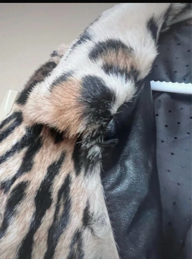 Abrigo pelo K.Zell T.S