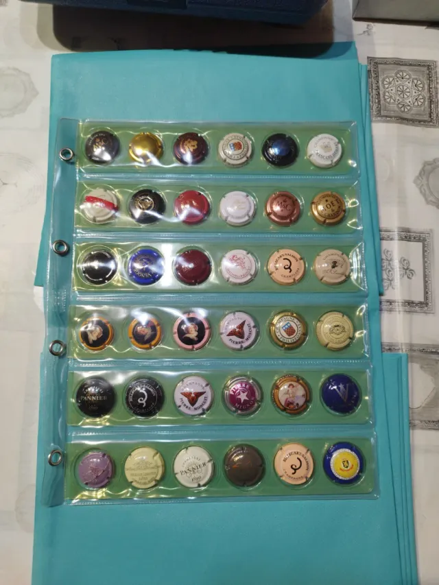 Collezione di piatti in porcellana champagne