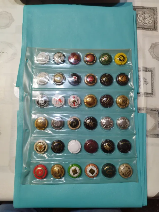 Collezione di piatti in porcellana champagne