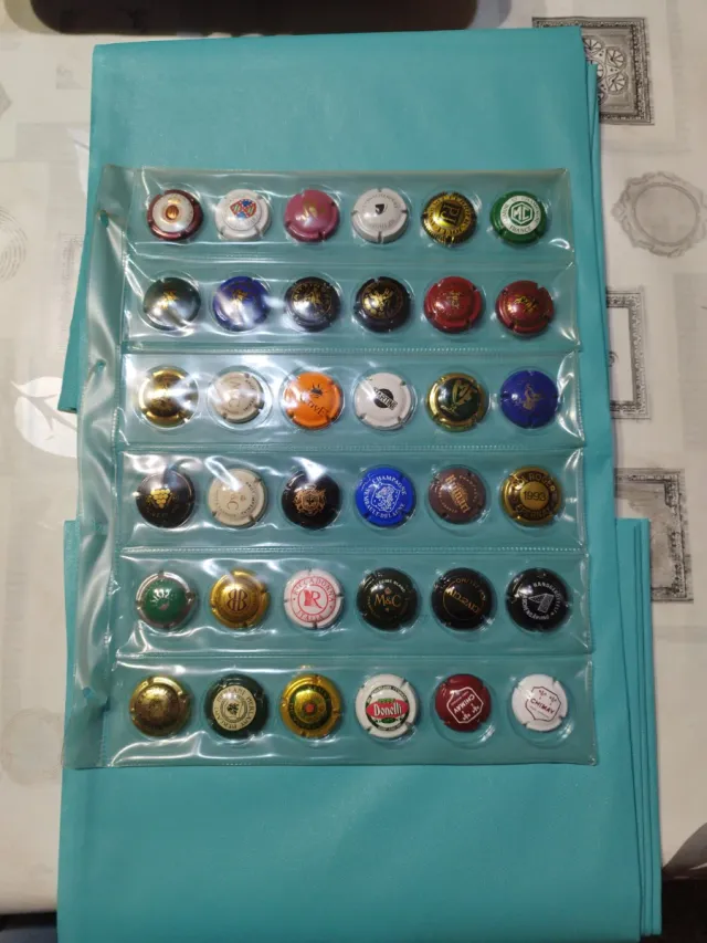 Collezione di piatti in porcellana champagne