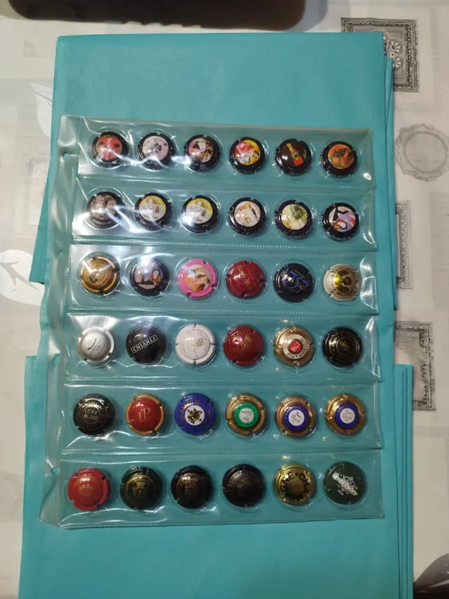 Collezione di piatti in porcellana champagne