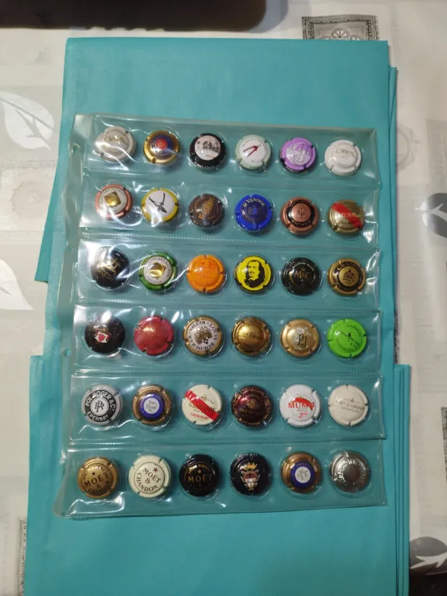 Collezione di piatti in porcellana champagne