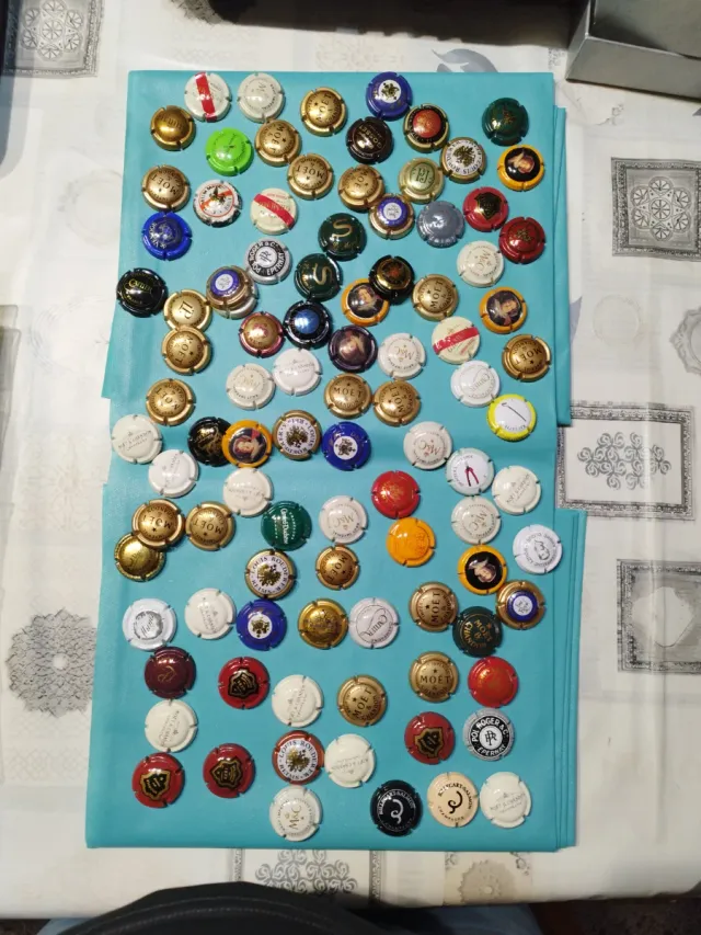 Collezione di piatti in porcellana champagne