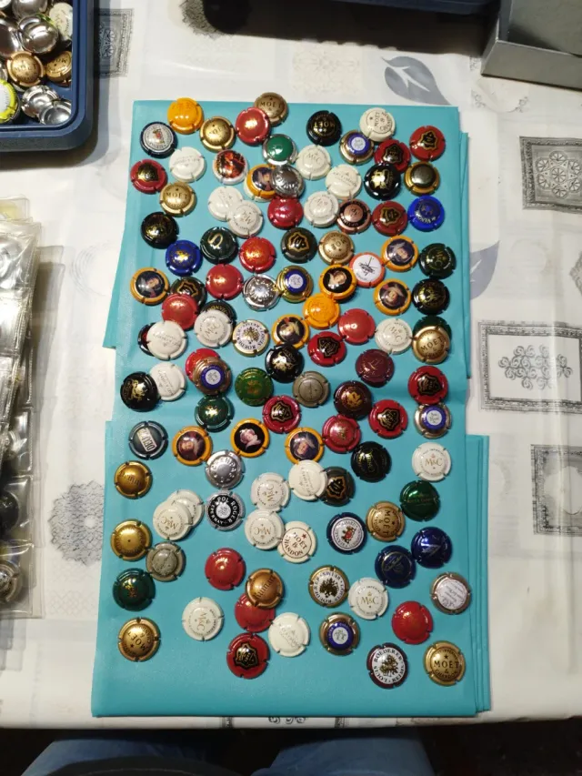 Collezione di piatti in porcellana champagne