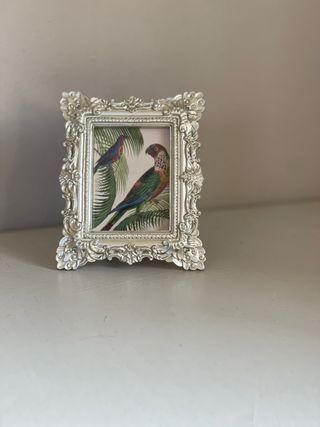 Piccola cornice resina platino 10x8