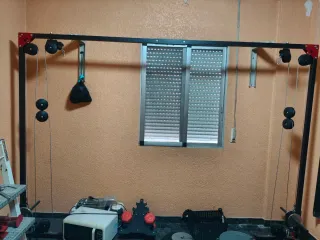 Polea doble para gimnasio