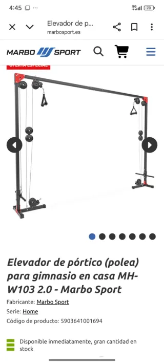 Polea doble para gimnasio