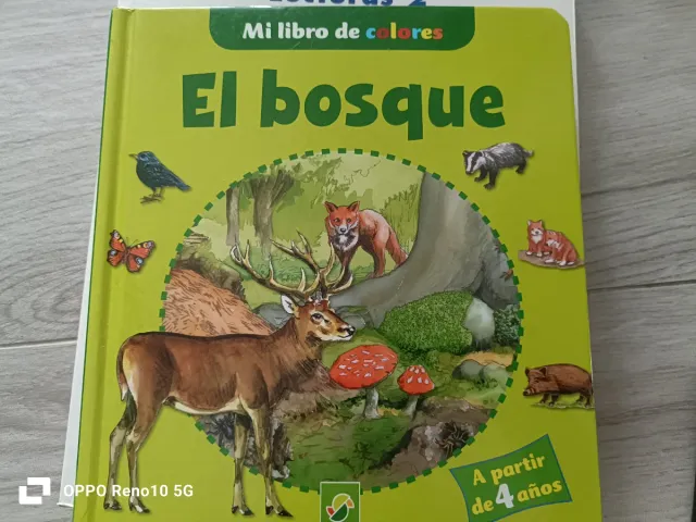 Pack 2 Libros Infantiles:El Bosque,Caillou