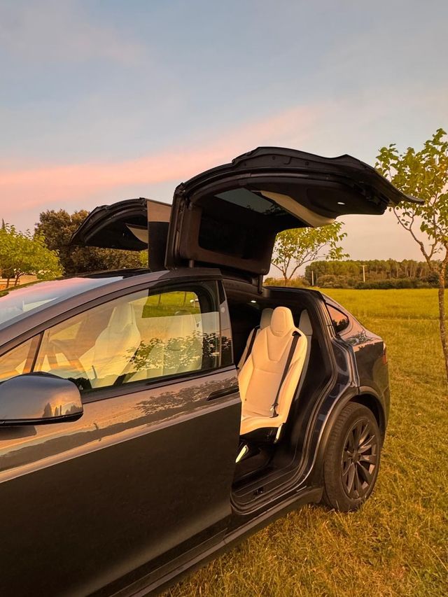Tesla Model X P100D 4WD