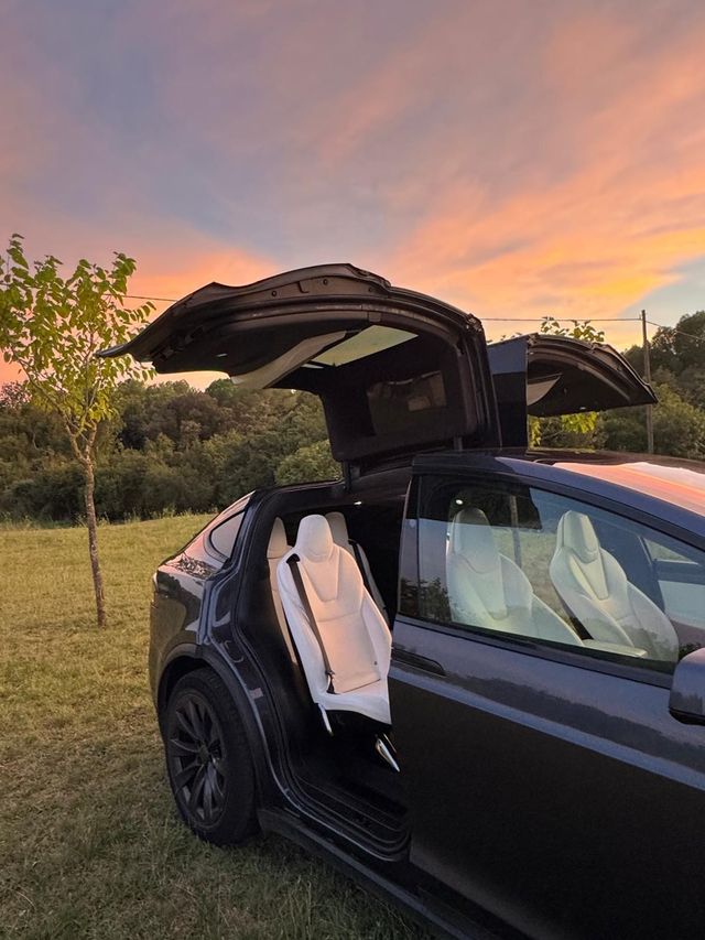 Tesla Model X P100D 4WD