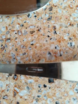 25 Posate per pesce in acciaio inossidabile 18x10