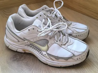 Zapatillas Nike Dart 7 Blancas y Plateadas