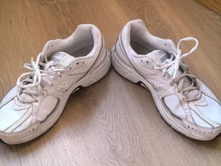 Zapatillas Nike Dart 7 Blancas y Plateadas