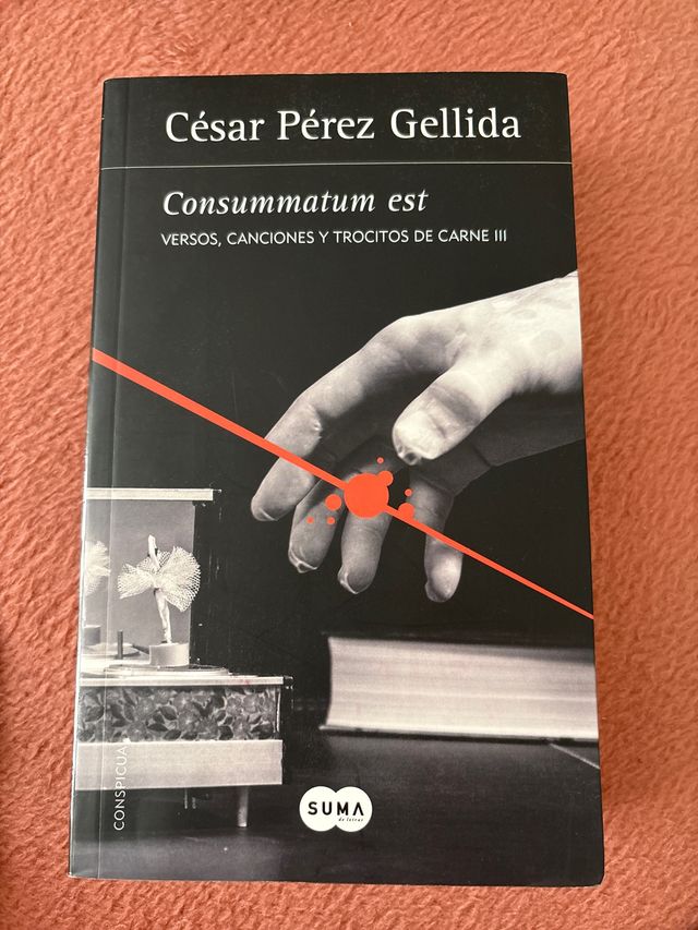 Consummatum est (Versos, canciones y trocitos d...