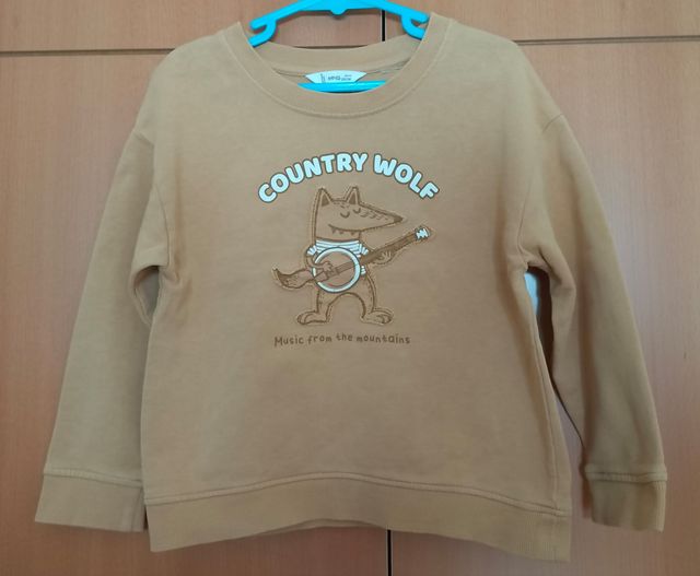 Lote Ropa Niño 4-5 años