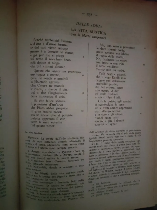 Libro Poesia e Prosa - Consonni Mazza