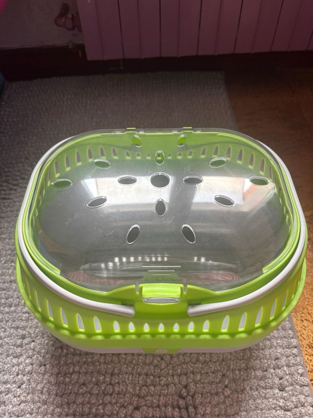 Trasporto per cavie o roditori