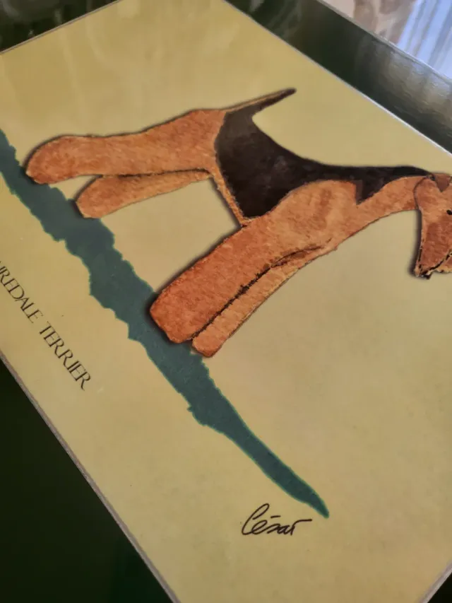 Salvamanteles Vintage Airedale Terrier