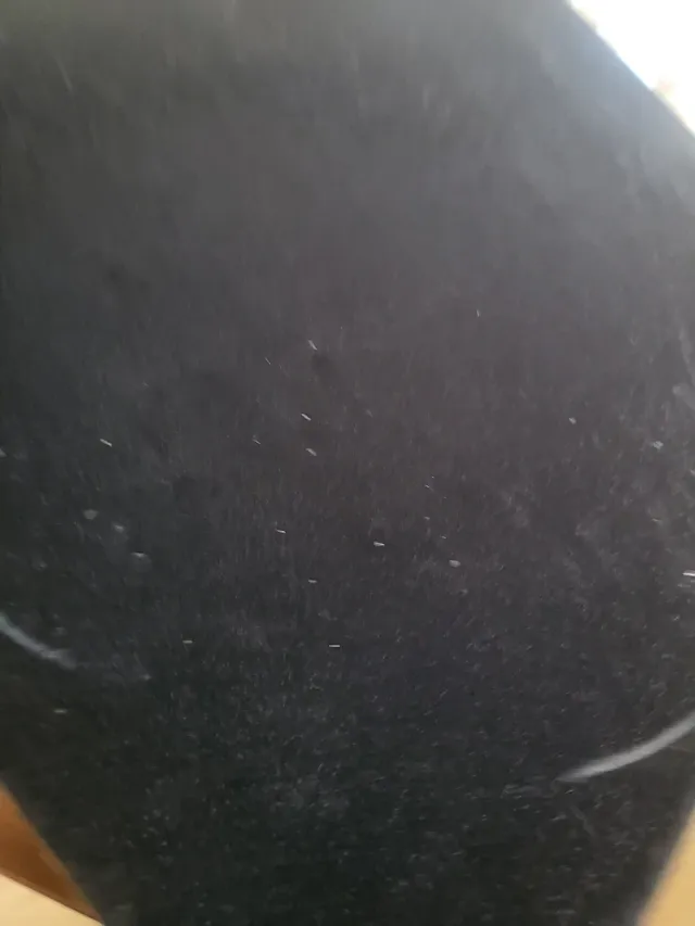 Salvamanteles Vintage Airedale Terrier