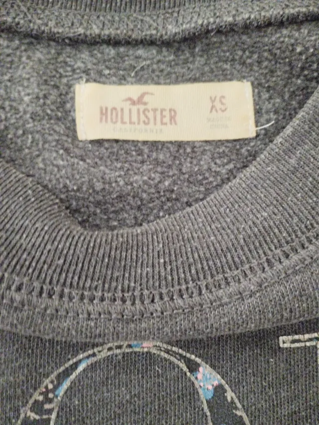 Jersey Hollister Gris