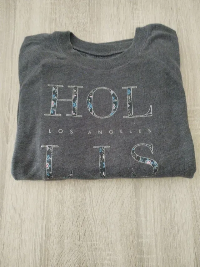 Jersey Hollister Gris
