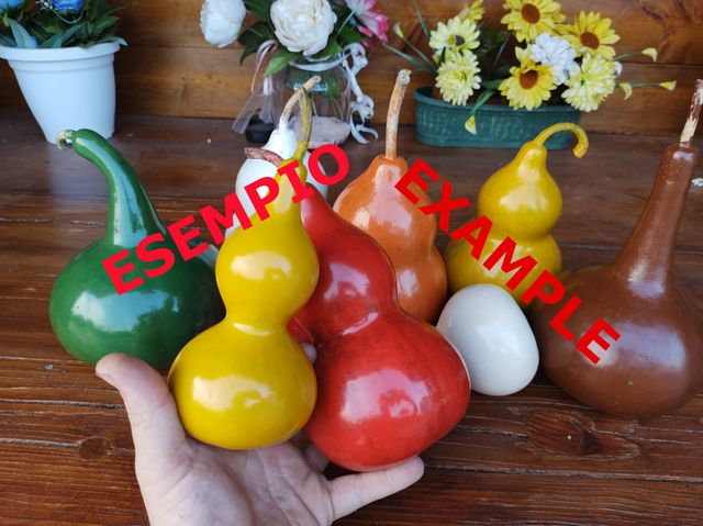 4 zucche naturali secche varie forme