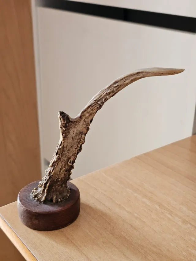 Oggetto decorativo vintage rustico