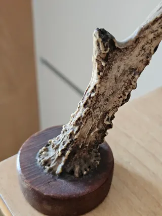 Oggetto decorativo vintage rustico